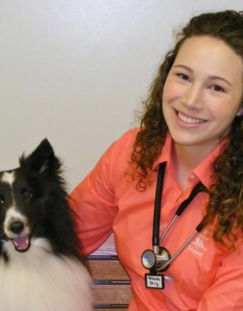 Amanda Emig at Companion Animal Hospital